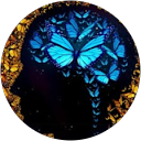 Laurent Couquiaud profile picture